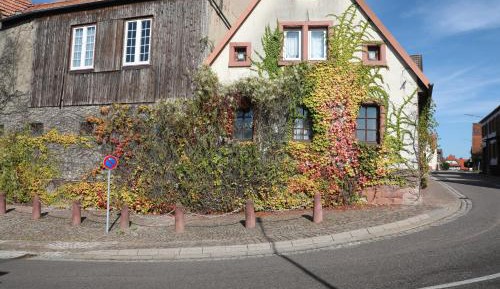 Deluxe Double Studio