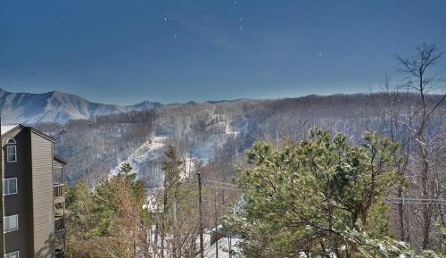 Apartment with Mountain View