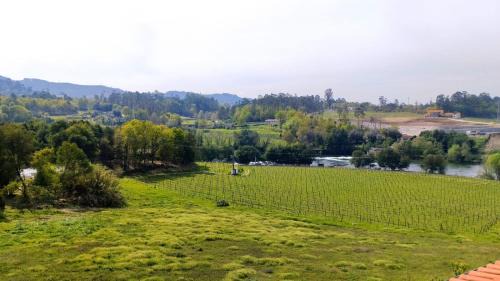 One-Bedroom Apartment with Balcony