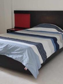 Deluxe Double Room (2 Adults + 1 Child)