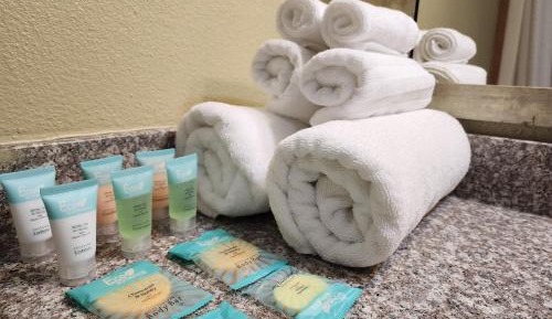 One King Deluxe Room  (Non Pet Friendly Room)
