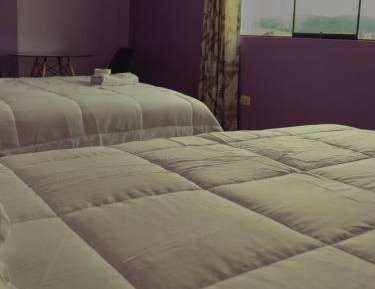 Double Room with Shared Bathroom