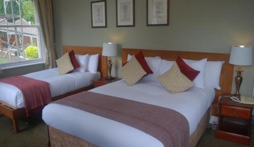 Deluxe Family Room