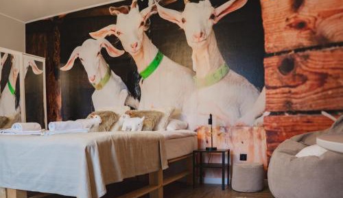 Large Double or Twin Room