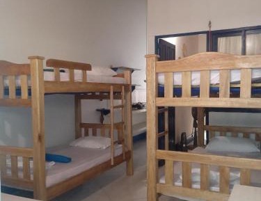 Bed in 6-Bed Dormitory Room