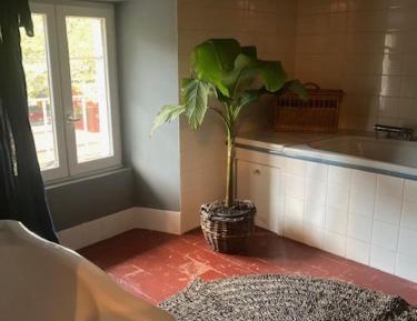 Double Room with Pool View