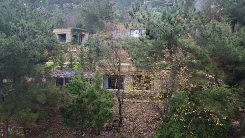 Superior Chalet