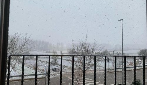 Double or Twin Room with Private Bathroom