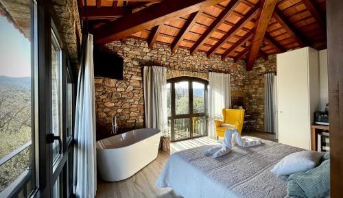 Double Room with Mountain View
