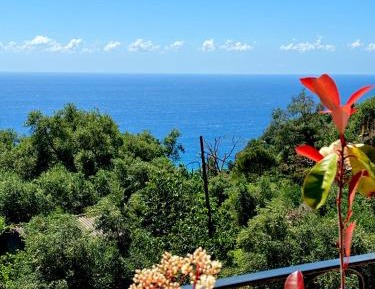 Studio with Sea View