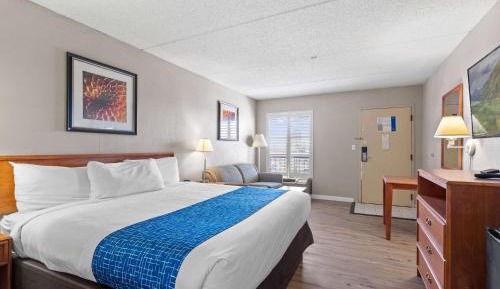 1 King Bed, Deluxe Room, Non-Smoking