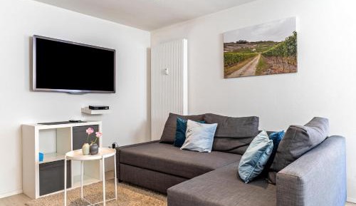 Superior One-Bedroom Apartment