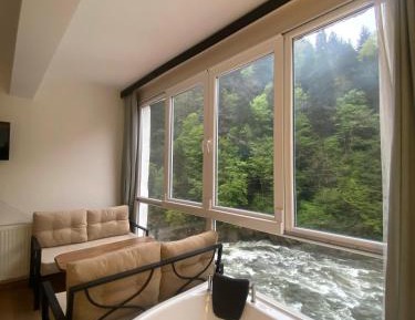 Suite with River View