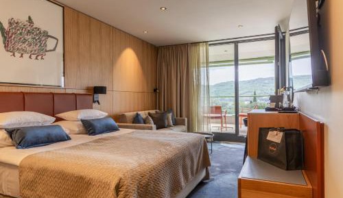 Comfort Double Room with Extra Bed