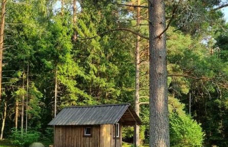 Bungalow - Water Front 