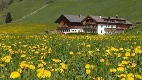 Two-Bedroom Apartment with Mountain View