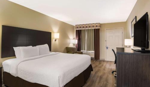 Standard King Room