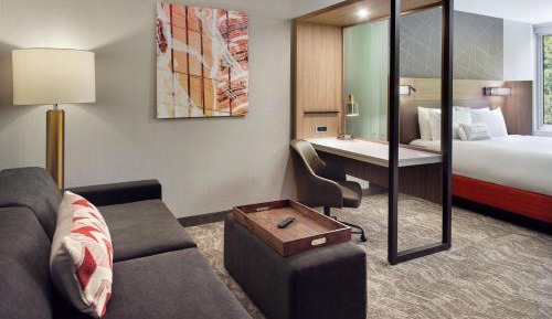 Studio Suite with 1 King, Trundle bed