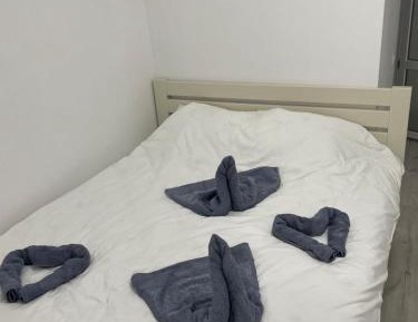 Large Single Room