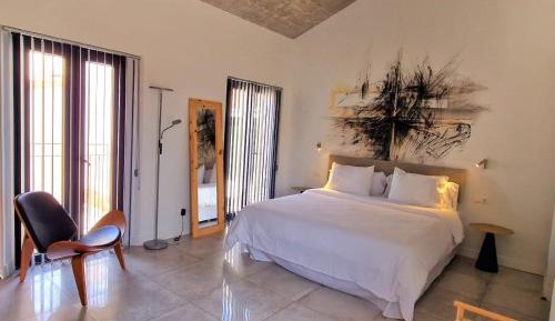 Superior Deluxe Double or Twin Room 