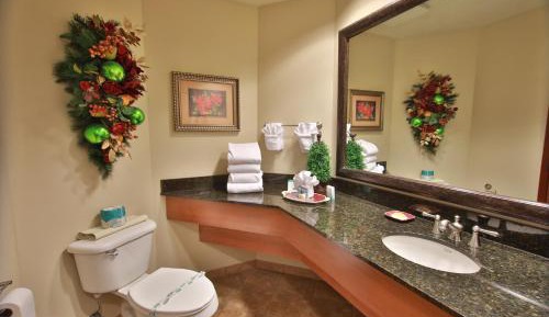 King Bed Mini-suite with Jaccuzzi, Fireplace, and Sleeper Sofa