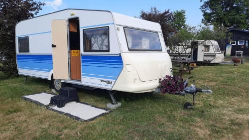 Mobile Home