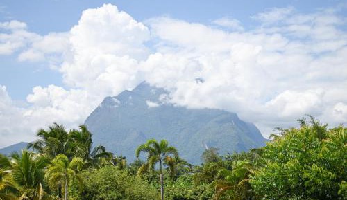 King Room with Mountain View