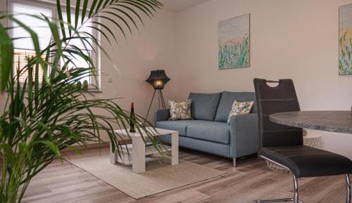 One-Bedroom Apartment with Shower