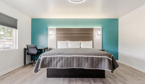 Single Room - Disability Access