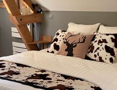 Double Room - Les Diablerets