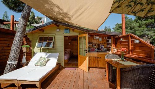 Tree House with Terrace