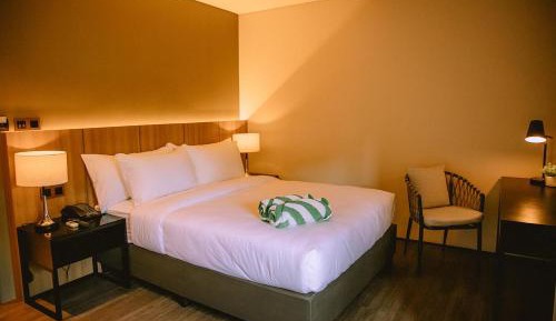 Superior Queen Room