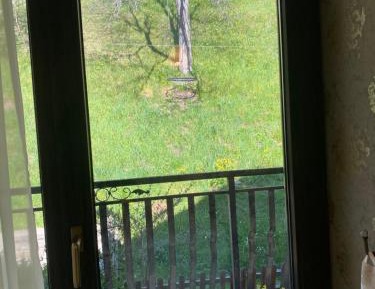 Double or Twin Room with Mountain View