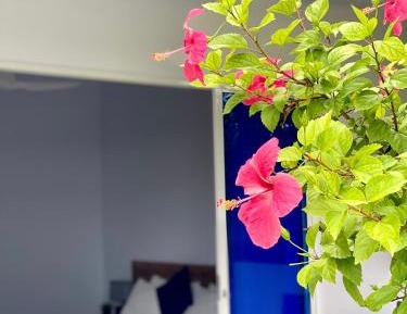 Double or Twin Room with Garden View
