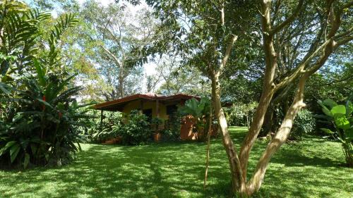 Bungalow (3 Adults)