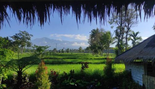 Double Room with Mountain View
