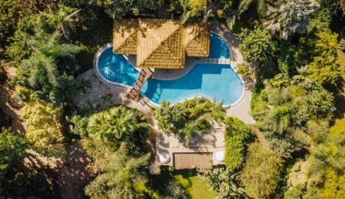 Villa with Garden View