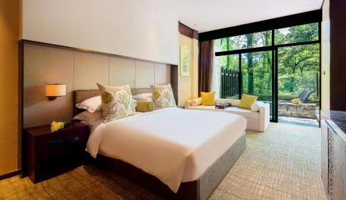 Courtyard Room with King Bed (Pets allowed) - free mini-bar per stay 