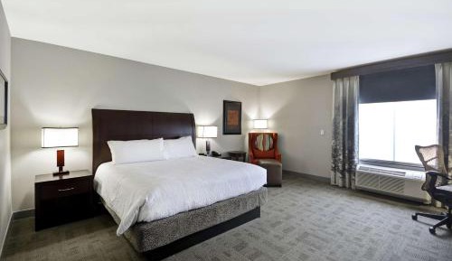 King Room with Roll-In Shower - Mobility Access