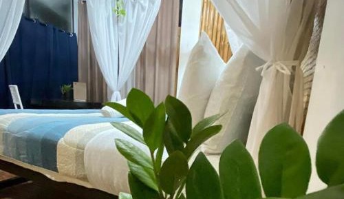 Superior King Suite