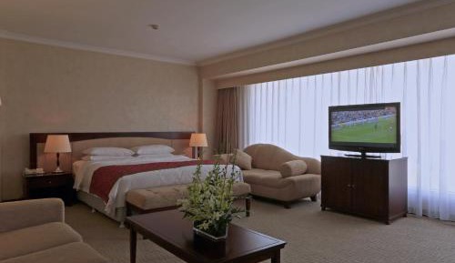 Deluxe Double Room with Park View