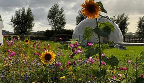 Glamping Dome 3