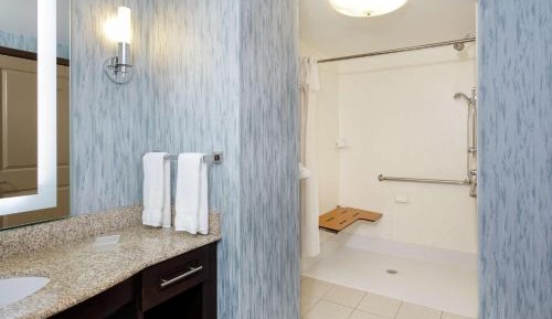 King Studio with Roll-In Shower - Mobility and Hearing Access/Non-Smoking
