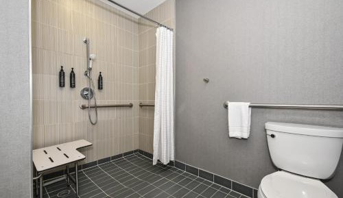 King Room with Roll-in Shower - Mobility Accessible