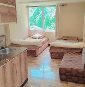 Apartment with Mountain View