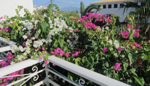 Standard Twin Studio with City View