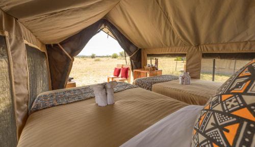 Tent