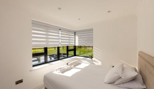 King Room with Garden View