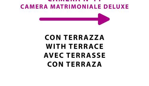 Deluxe Double Room with Terrace