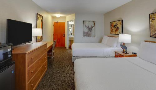 Standard Double Room with Two Double Beds